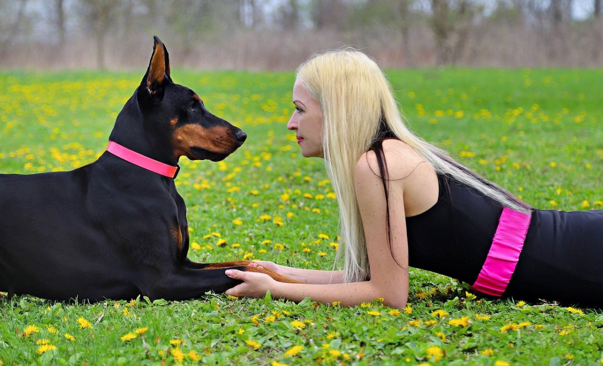 Две блондинки и собака