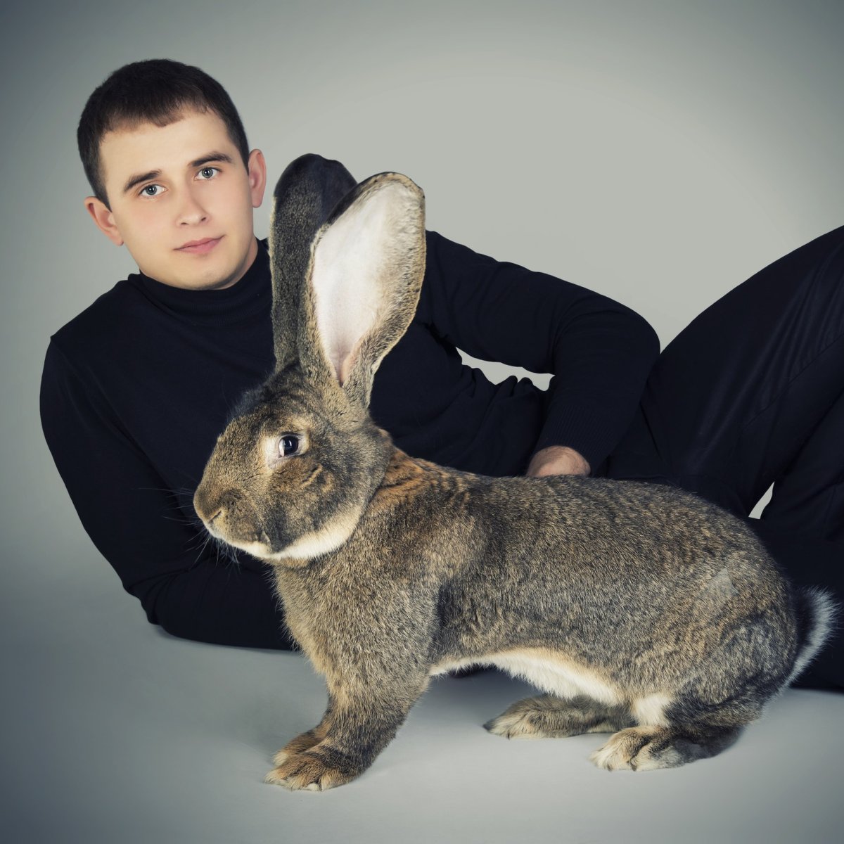 Самая неприхотливая порода кроликов