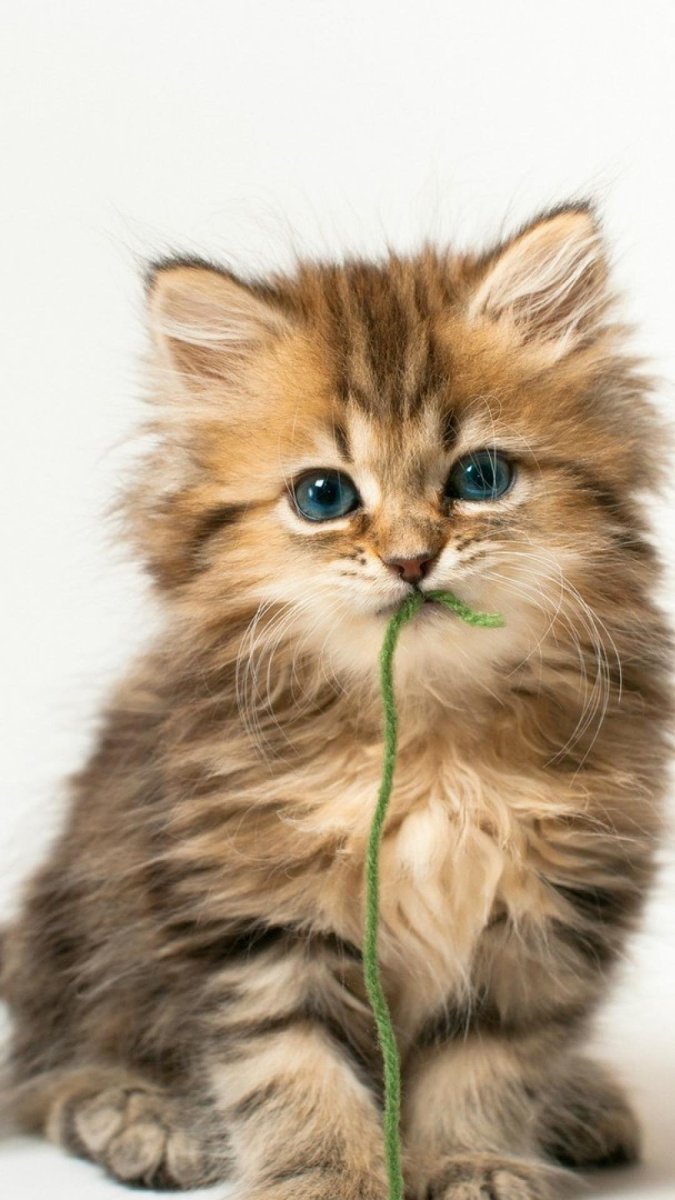 Крутые обои на рабочий стол