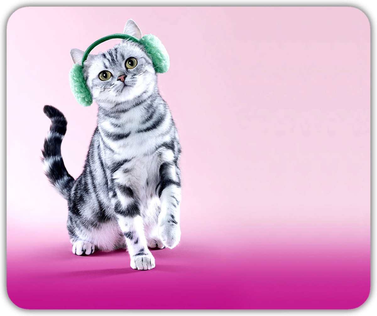 Котик вискас