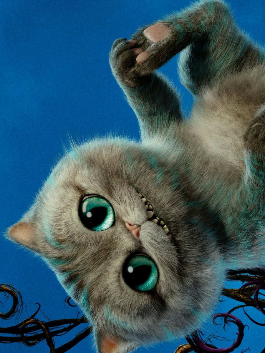 Кошка компьютерная Графика