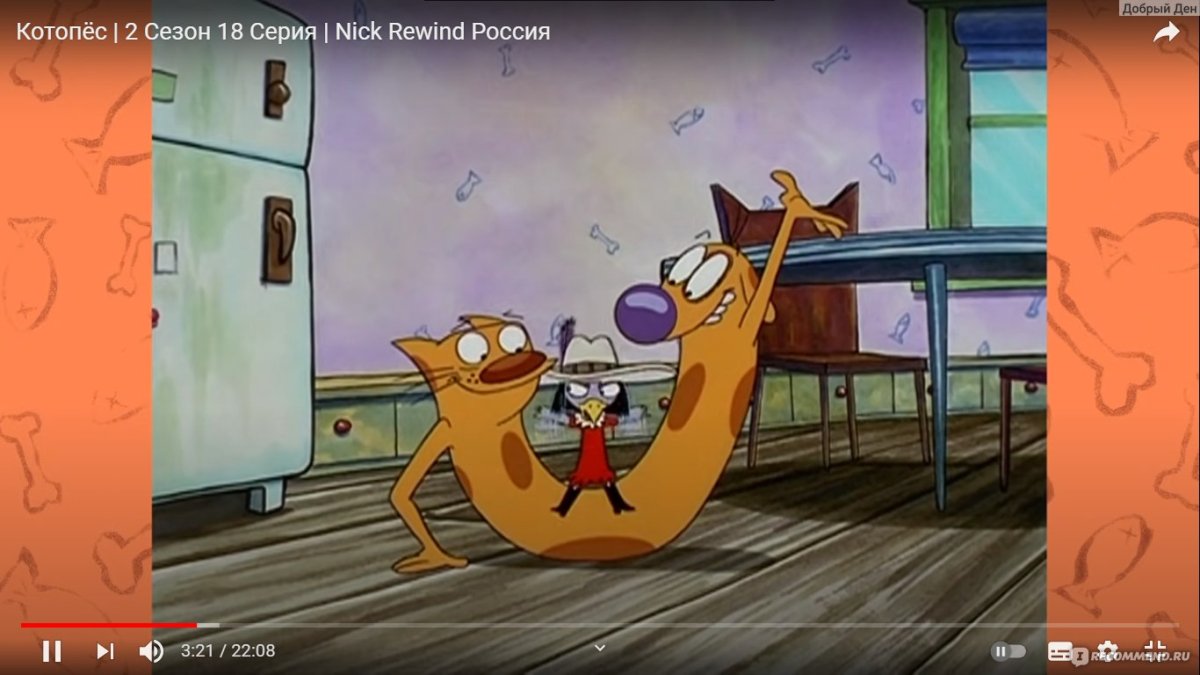 Собачки и кошечки