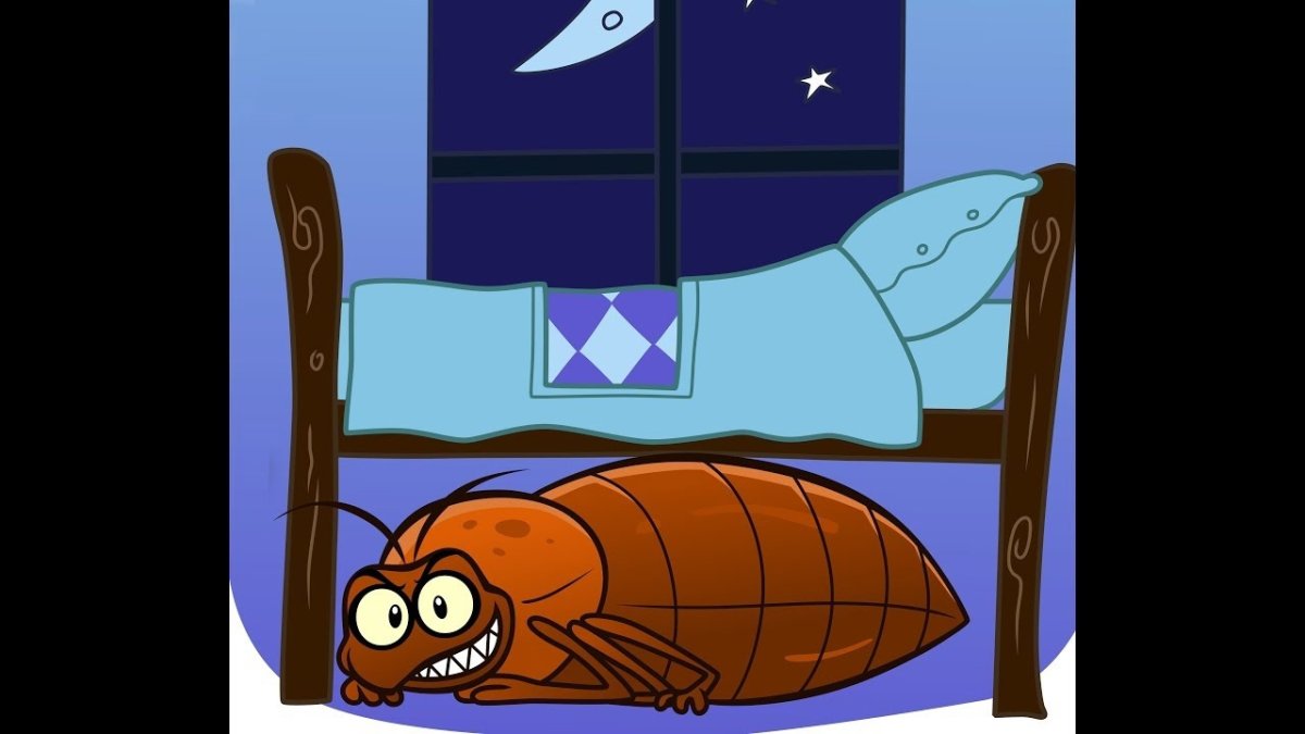 Постельный клоп личинка