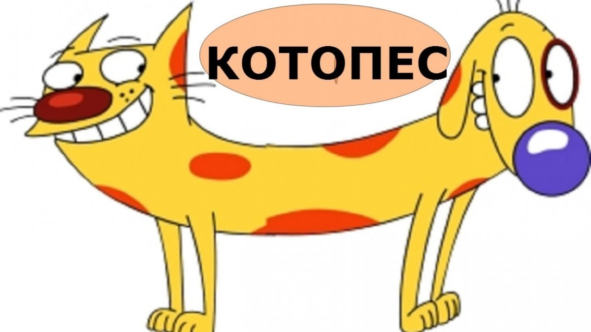 Мультяшный Котопес