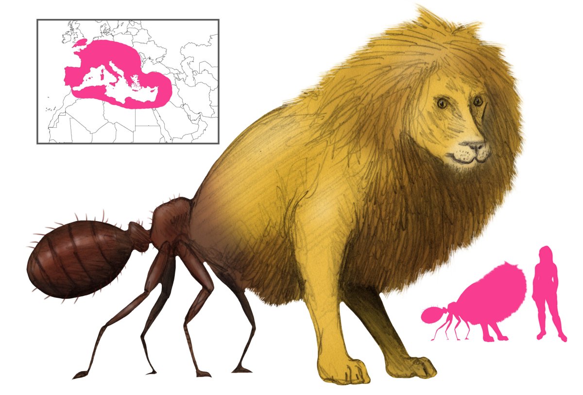 Муравей Лев