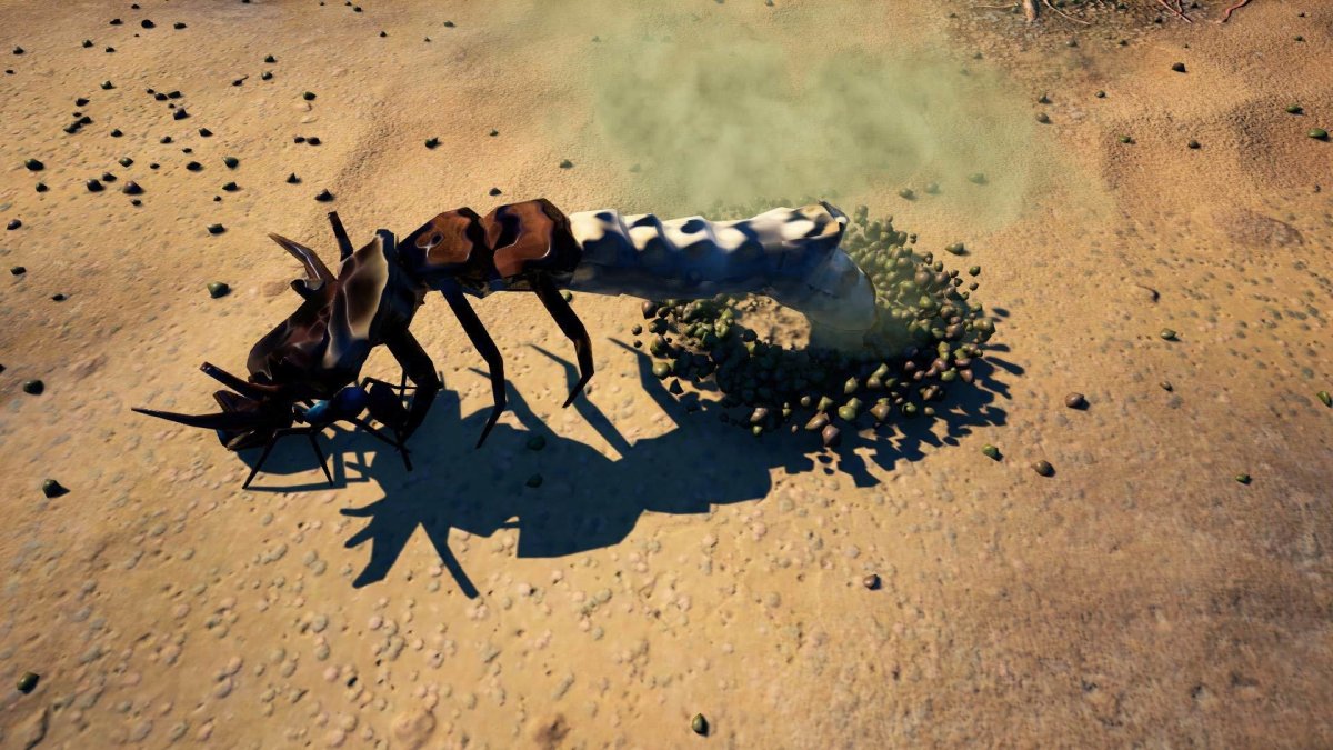 Личинка муравьиного Льва хищник