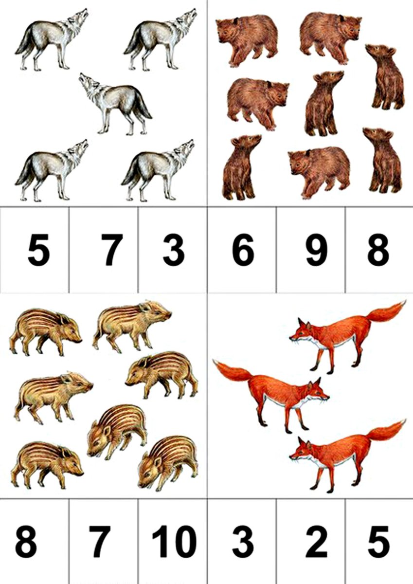 Дикие животные задания для дошкольников