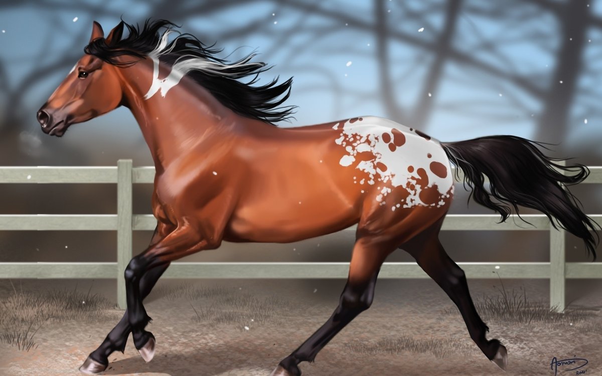 Лошадь бежит