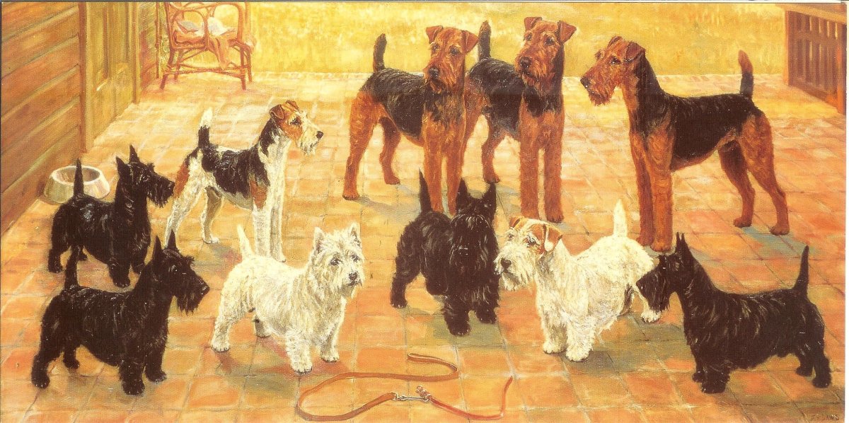 С днем рождения Фокстерьер