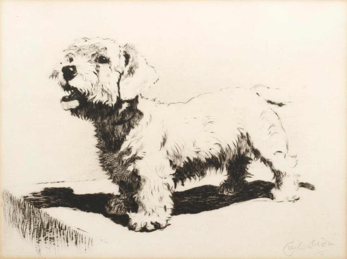 Собака роёт иллюстрация