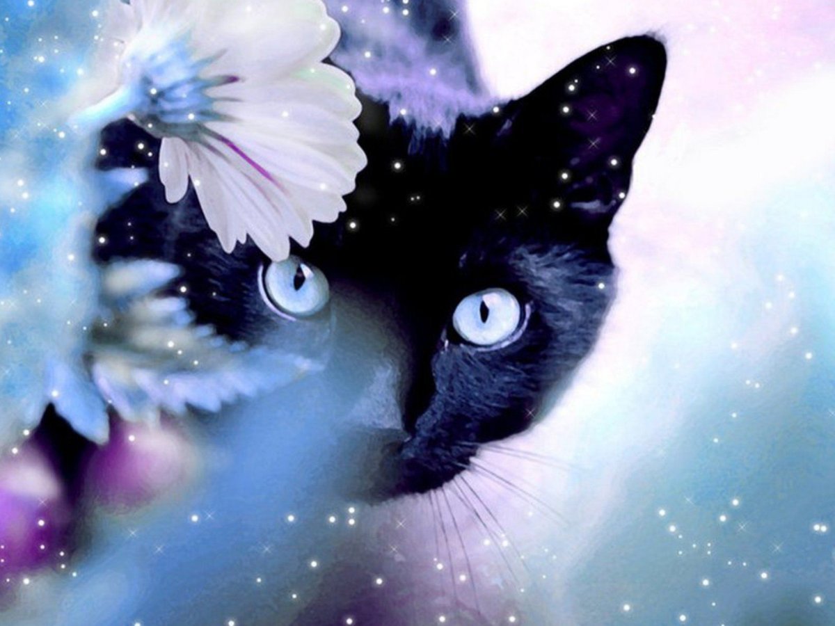 Красивые обложки для одноклассников