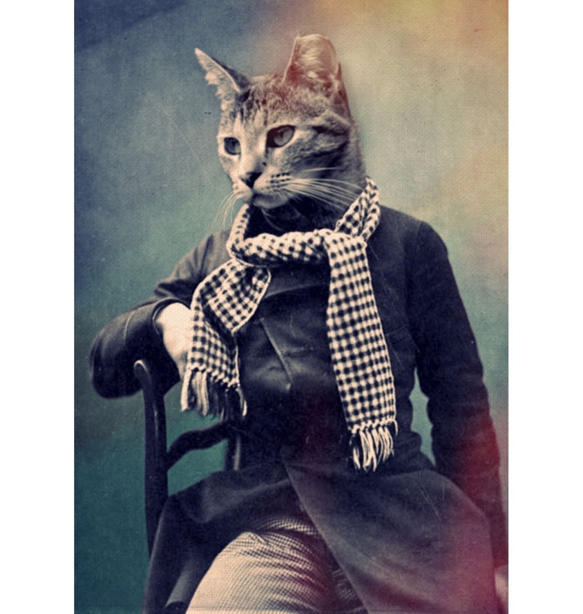 Котенок в полотенце