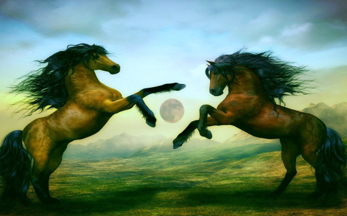 Жеребец покрыл жеребенка