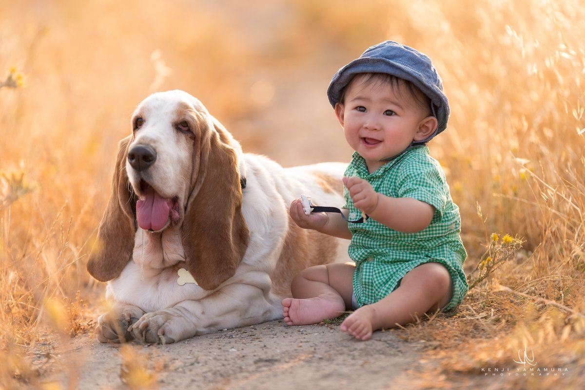 Собака для детей