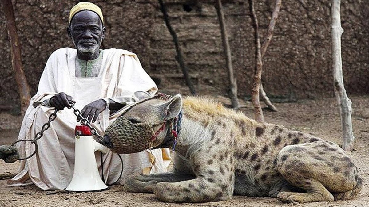 Гирский заповедник