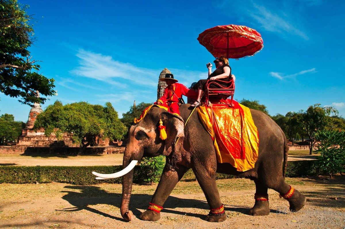 Покататься на слоне