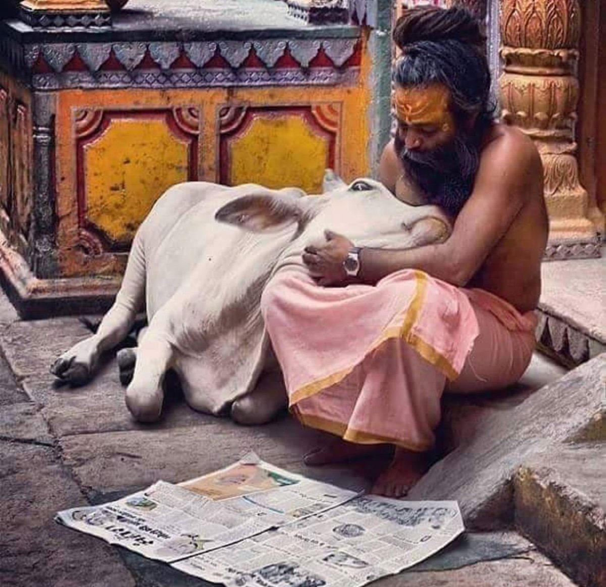 Индуизм Ахимса