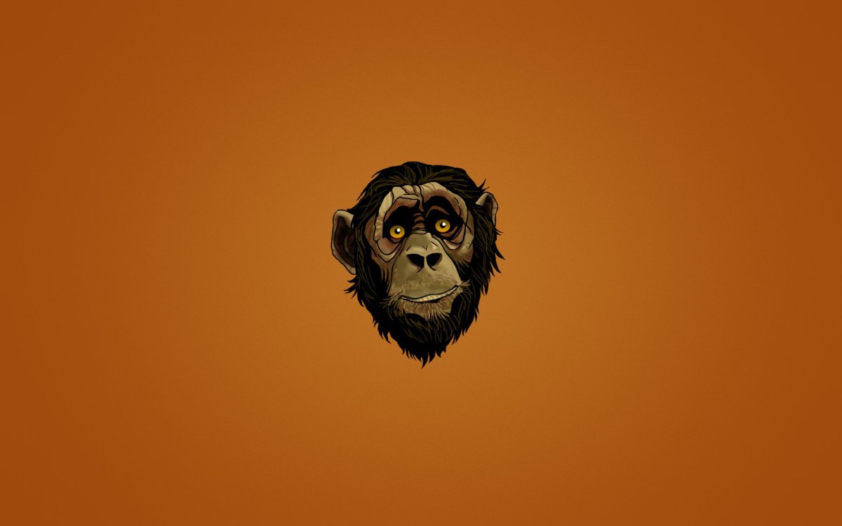 Обои с обезьянами