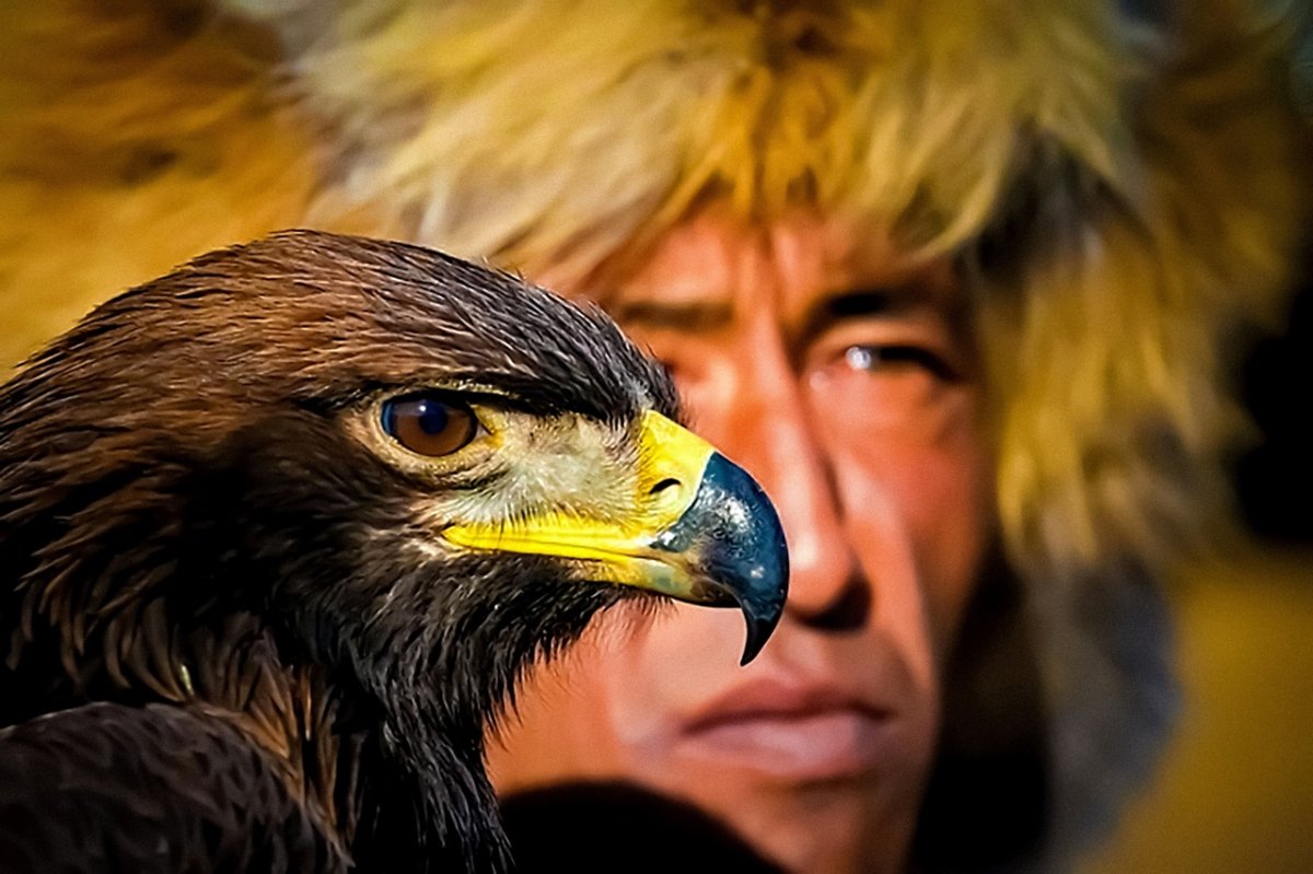 Монголия Орлиная охота