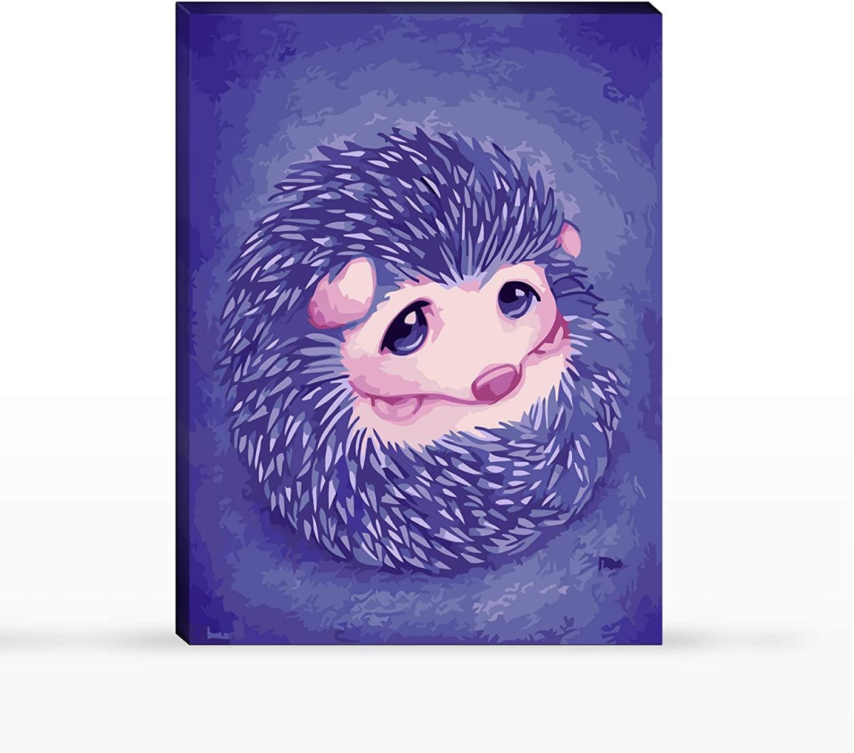 Еж ехидна Дикобраз