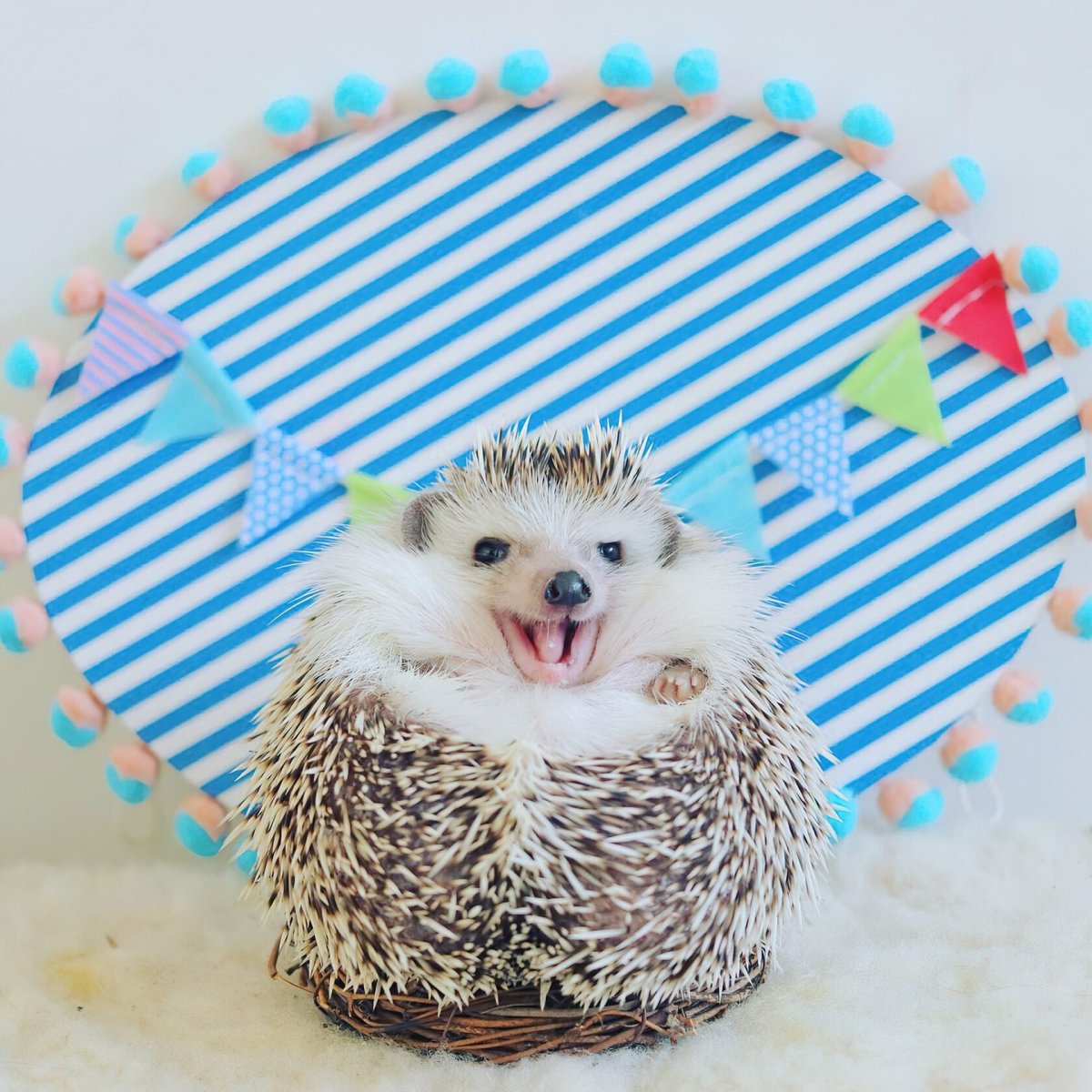 Миленький Ежик