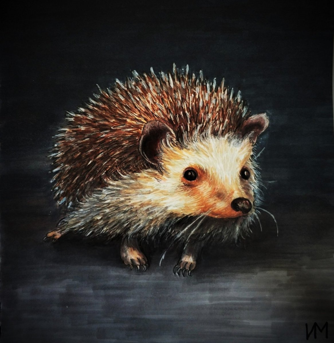 Синий Ёжик буквально