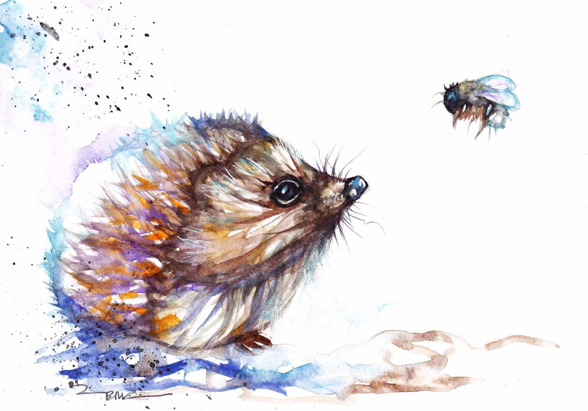 Акварельные ежики