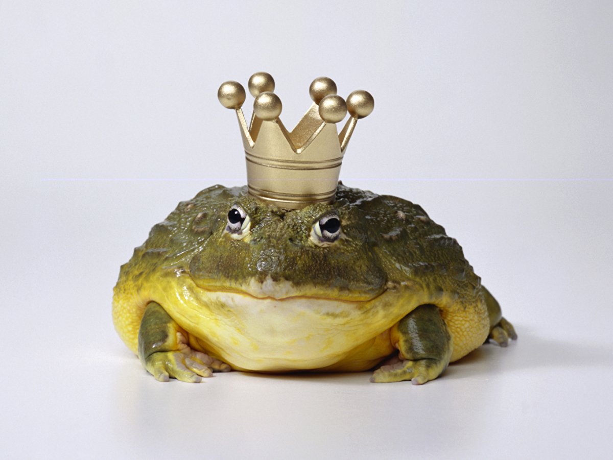 Накрашенная жаба