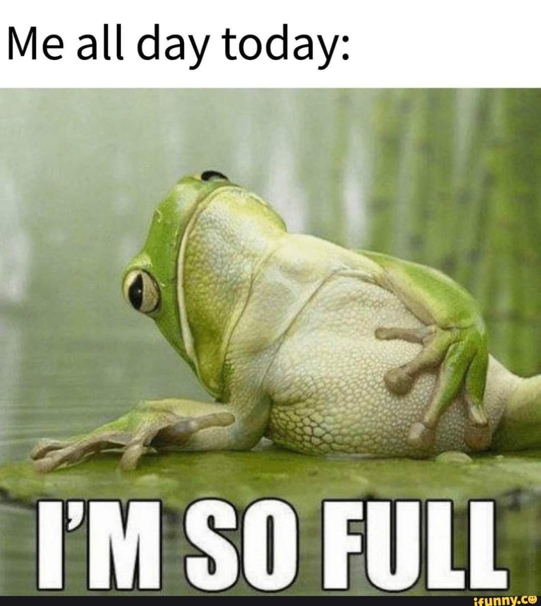 Аватарка лягушка