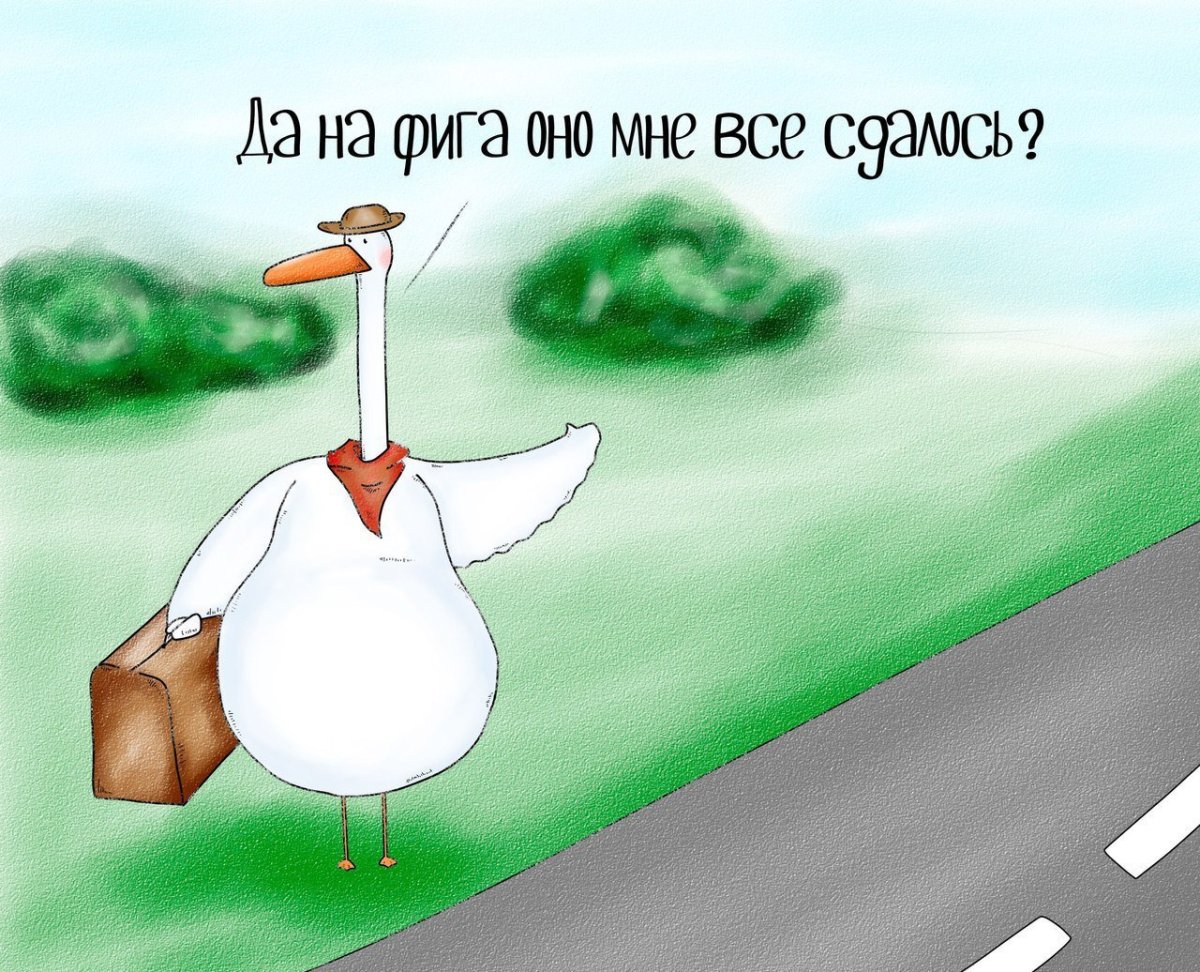 Шутки про гуся