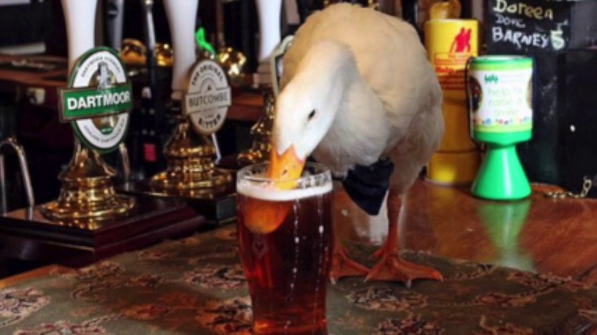 Гусь с сердечком