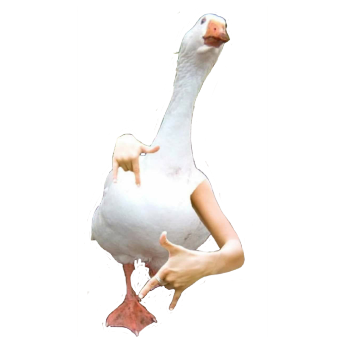 Утка с руками