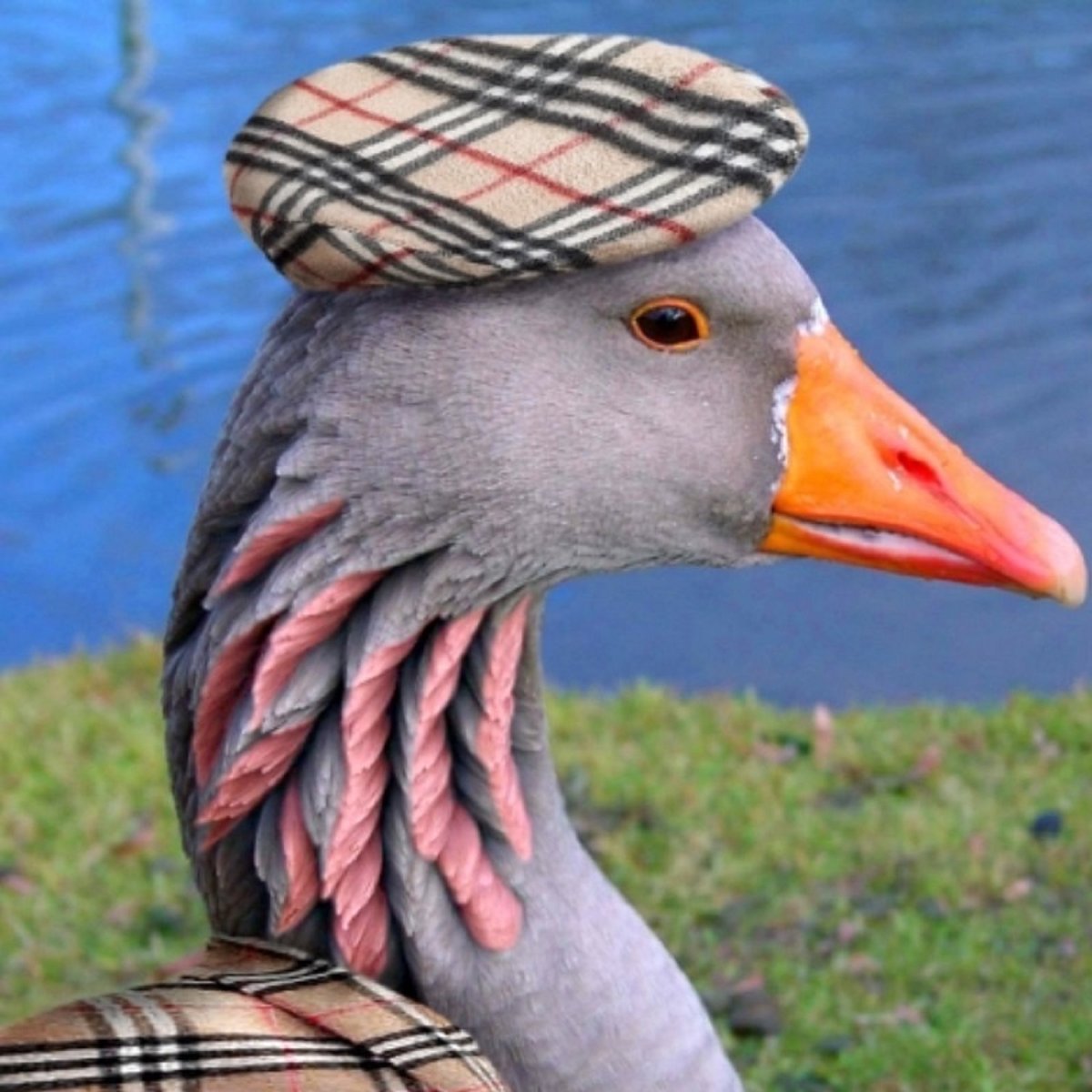 Смешной Гусь