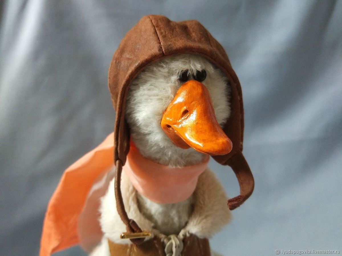 Гусь в каске