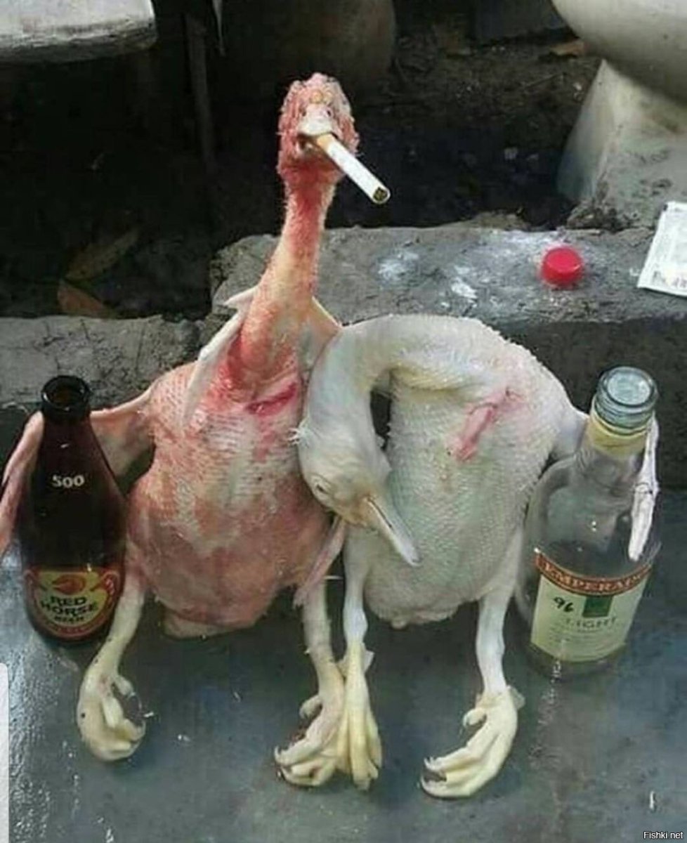 Пьяный Гусь