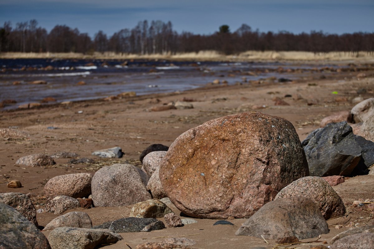 Обитатели Балтийского моря
