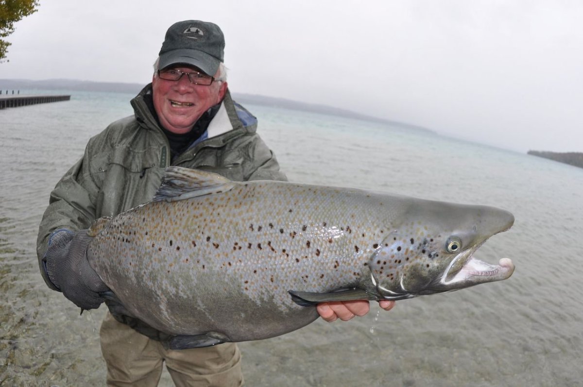 Форелевое хозяйство Архангельск