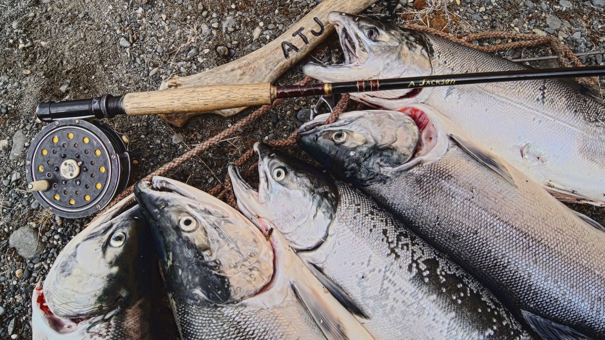 Дохлая рыба финский залив