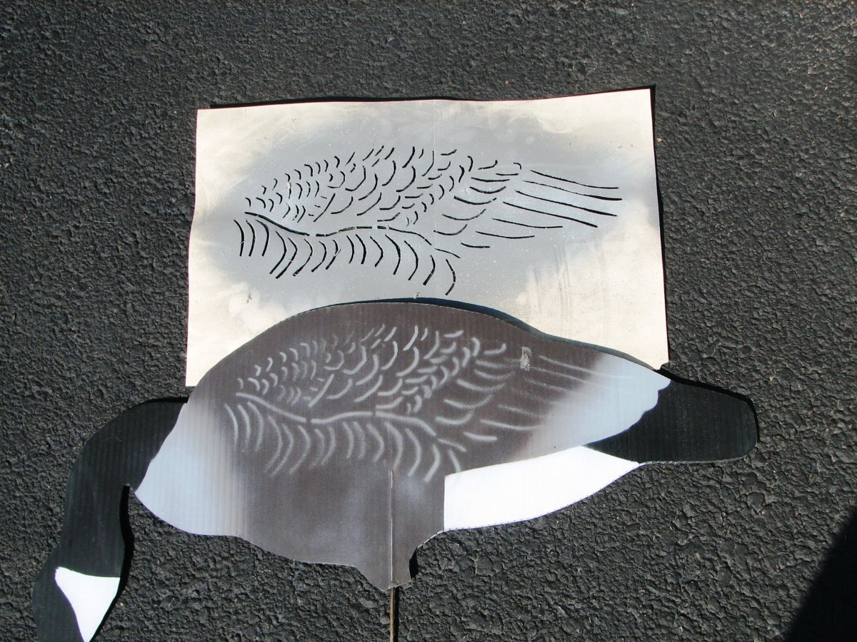 Профиль белолобого гуся