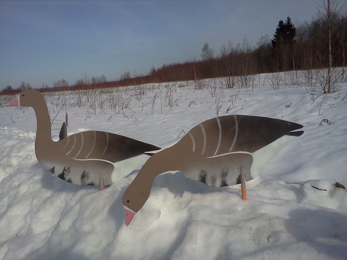 Фанерные профиля гусей