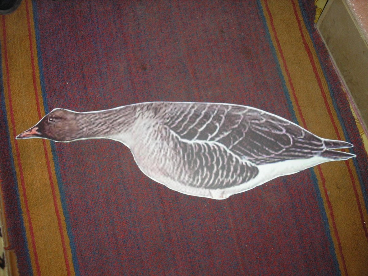 Самодельные чучела гусей