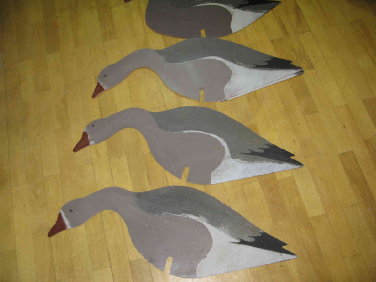 Плоские гусиные профиля