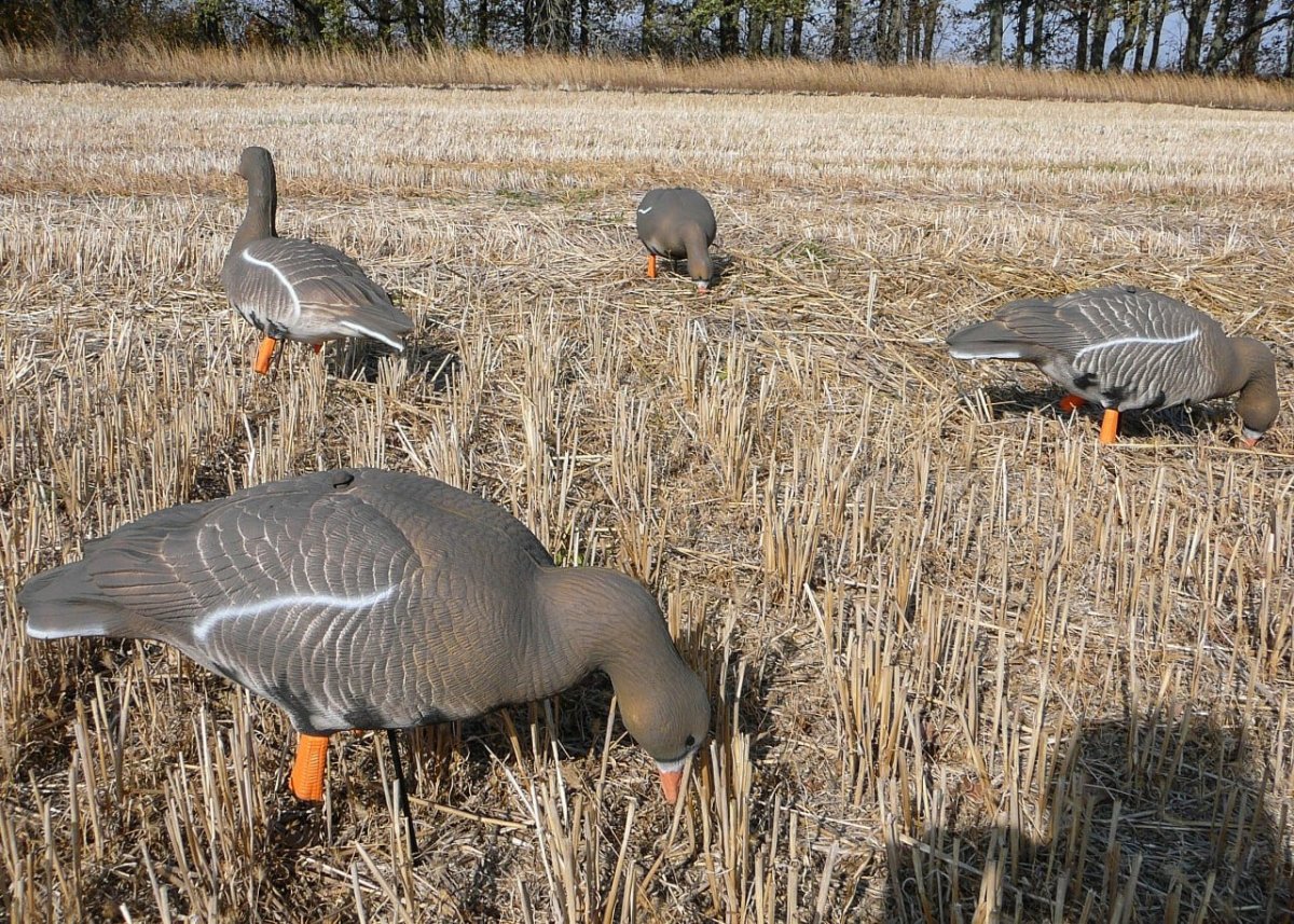 Фанерные профиля гусей