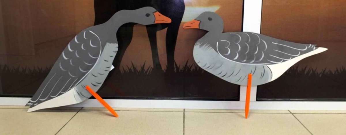 Фанерные профиля гусей