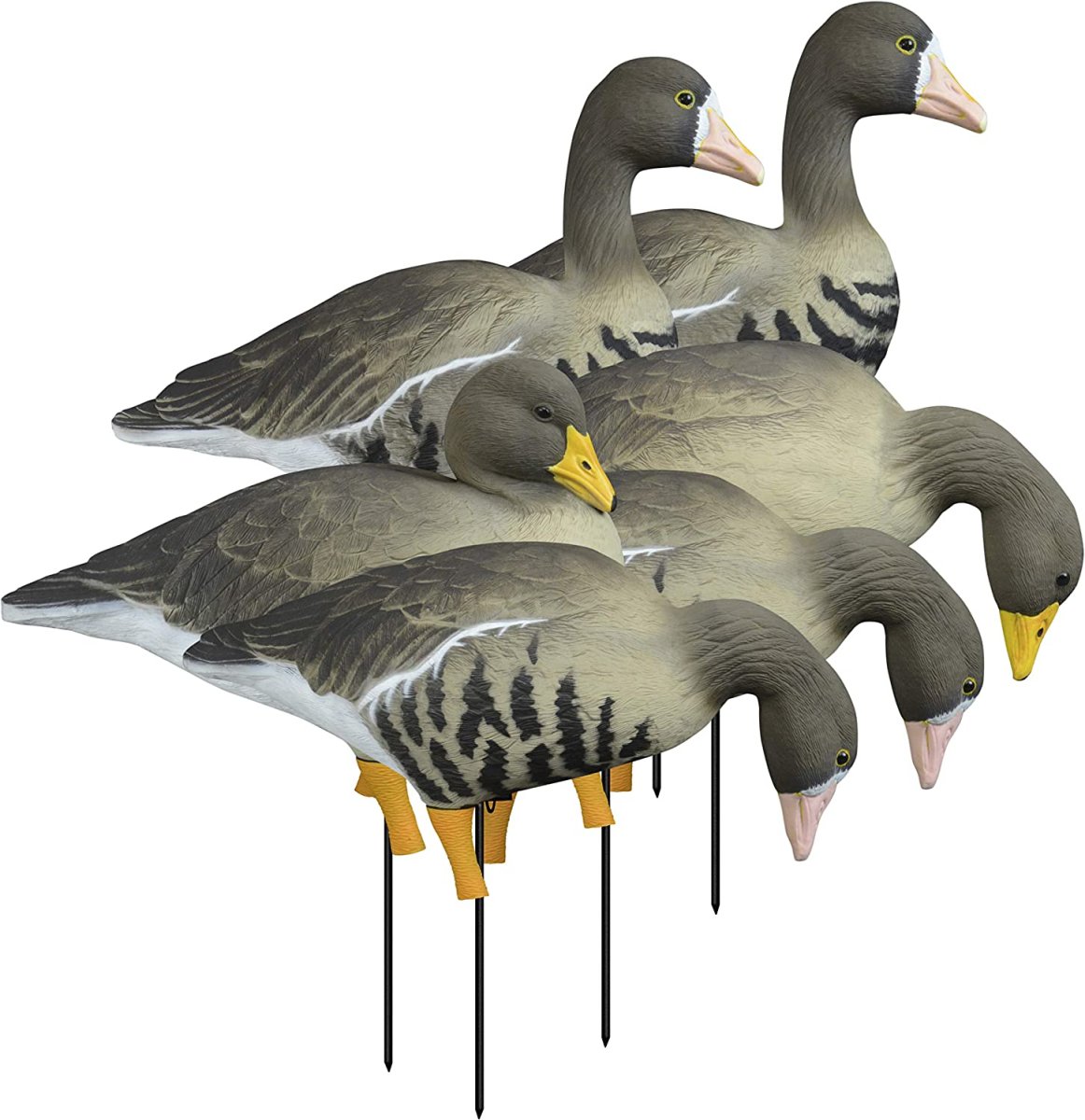 Чучела белолобых гусей Higdon