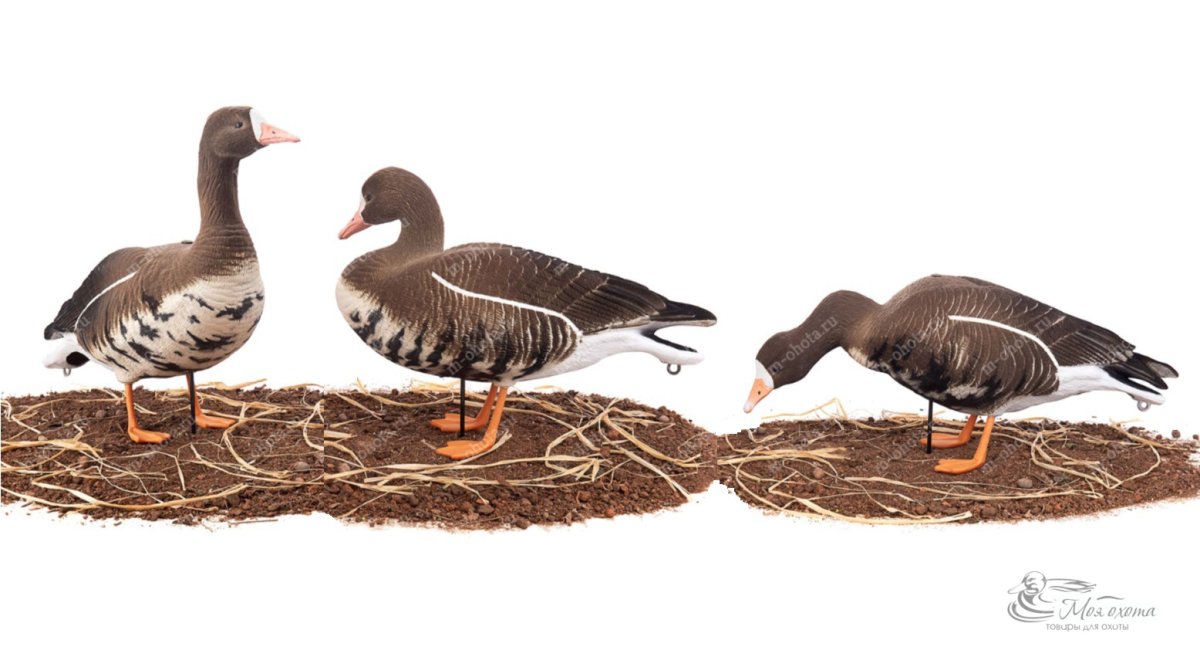 Профиля гусей huntingart