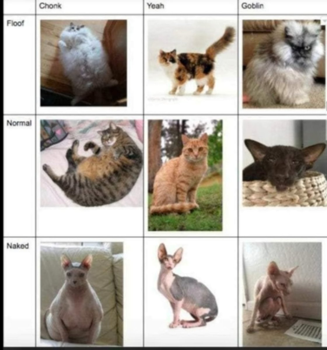 Самые популярные породы кошек диаграмма