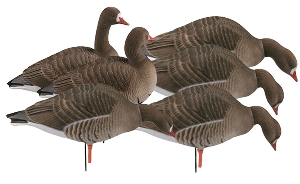 Профиля гусей для распечатки