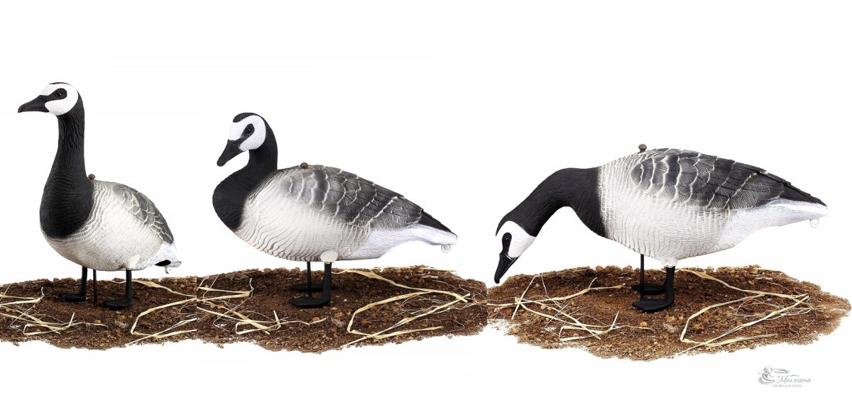 Чучела гуменник Гринхед