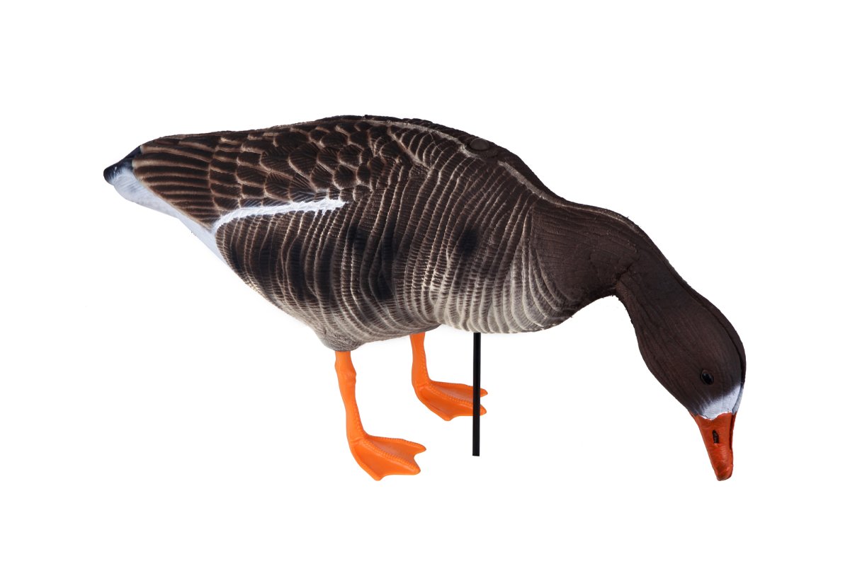 Чучела гусей 3d белолобый SUPERXPE